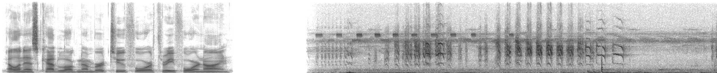 Yellow-tufted Woodpecker - ML24349