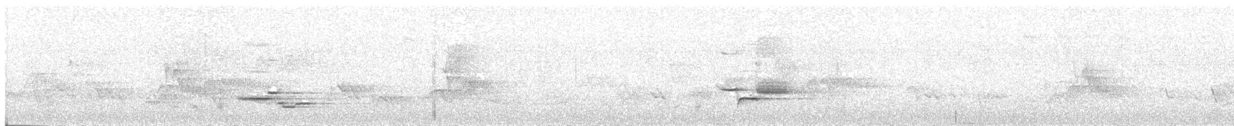 Wood Thrush - ML243490141