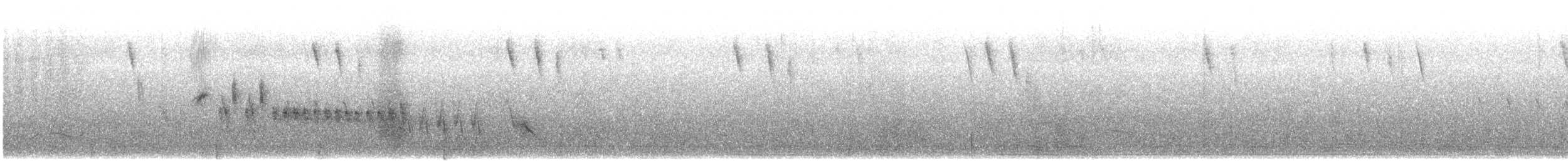 pěnice pokřovní (ssp. curruca/blythi/halimodendri) - ML243499891