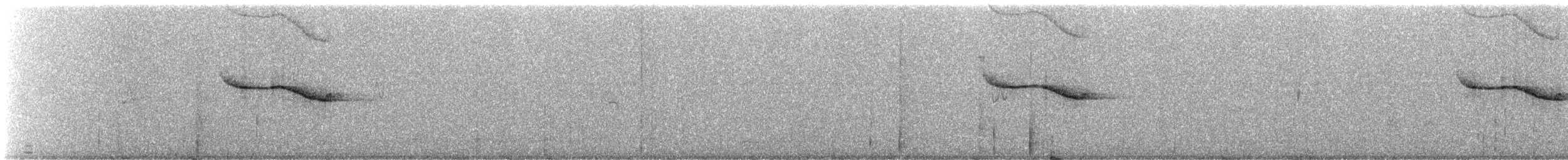 Breitspiegel-Nachtschwalbe (ruficervix) - ML243504