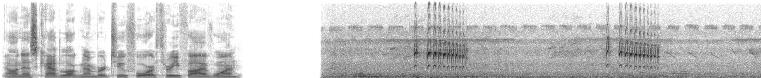 Dark-breasted Spinetail - ML24351