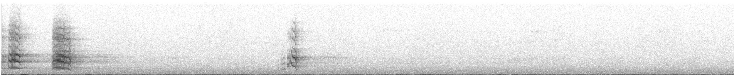 Conure magellanique - ML243514331
