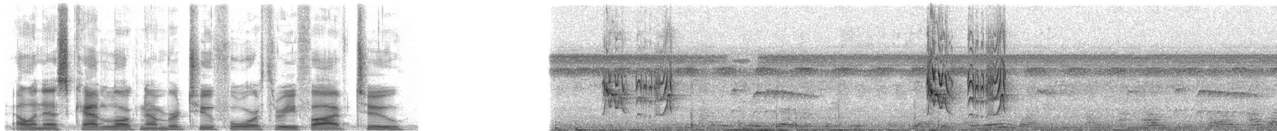 Boat-billed Flycatcher (South American) - ML24352