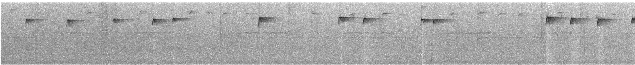 Colibri demi-deuil - ML243521091