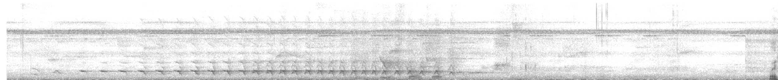 Белохвостый трогон - ML243529811
