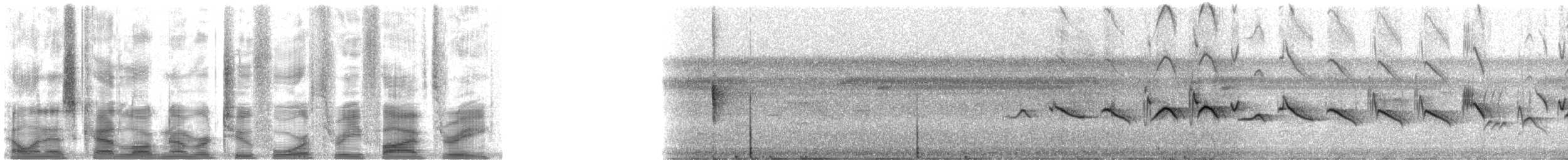 Chestnut-bellied Seed-Finch - ML24353