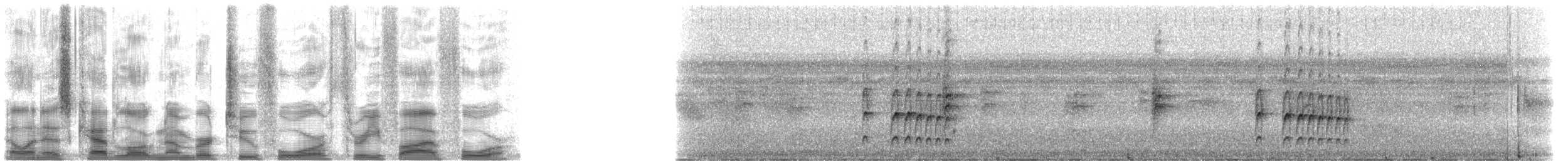 Dark-breasted Spinetail - ML24354