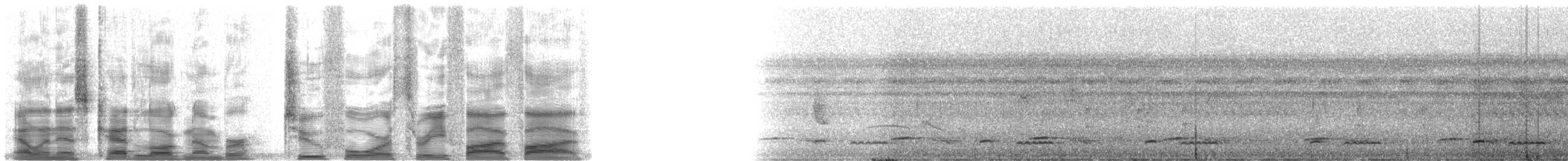 Chestnut-headed Crake - ML24355