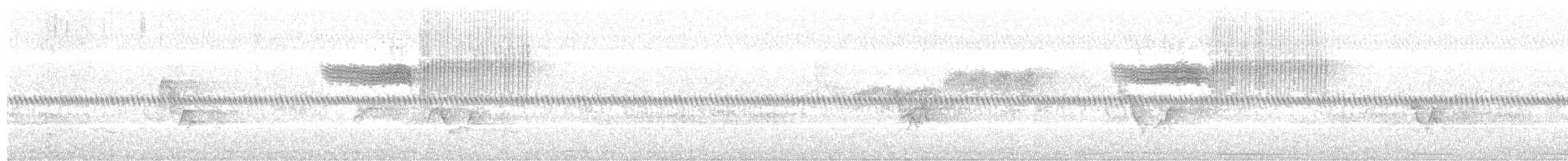 Голубокрылая червеедка - ML243560081
