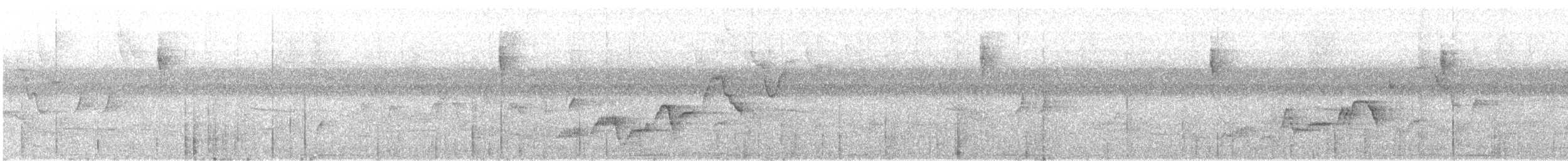 Дрізд-короткодзьоб Cвенсона - ML243575801