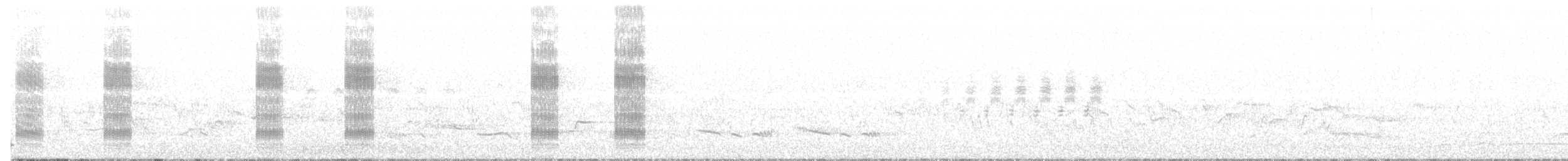 Râle des genêts - ML243580061