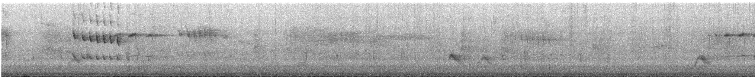 Uzun Kuyruklu Sibya - ML243609201
