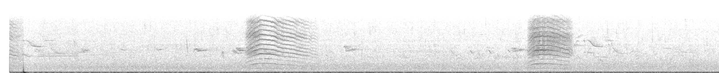 Gray Catbird - ML243619551