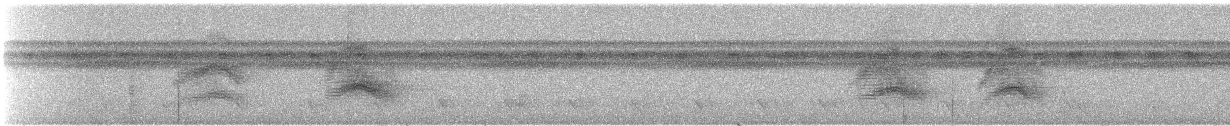 Пестрокрылый мухоед - ML243621971