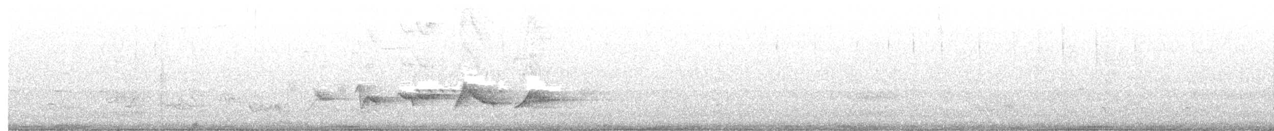 Kara Kanatlı Piranga - ML243623281
