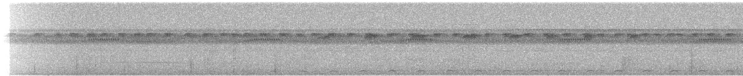 Black-tailed Trogon - ML243624901