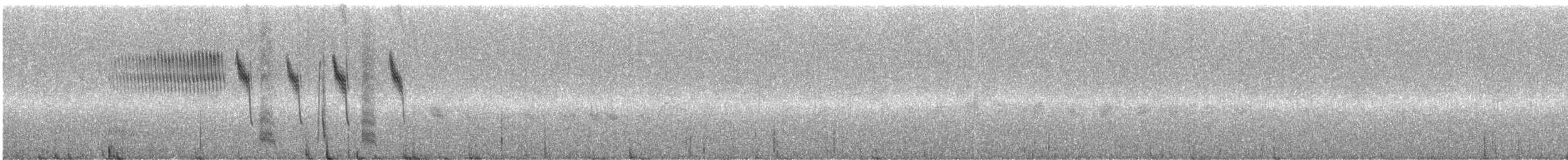 Вівсянчик сіроволий - ML243637