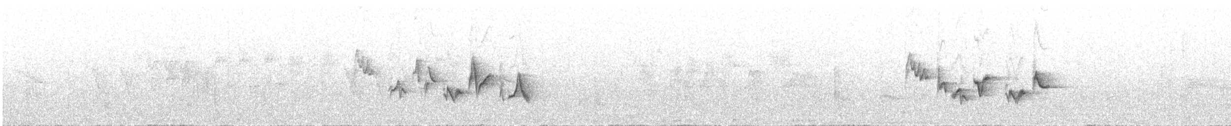 Warbling Vireo (Western) - ML243638271