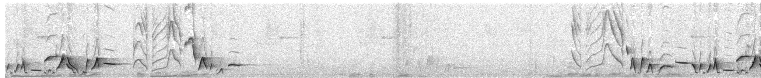 Поплітник смугастощокий - ML243645631