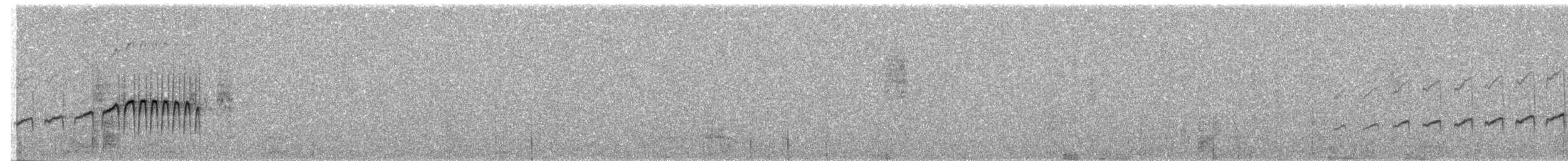 Perija Thistletail - ML243646011