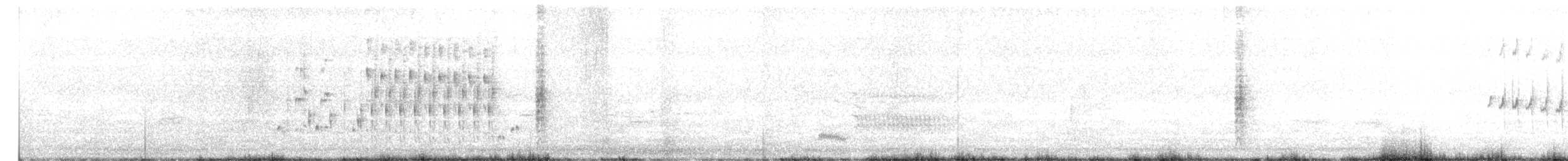Troglodyte des marais - ML243650171