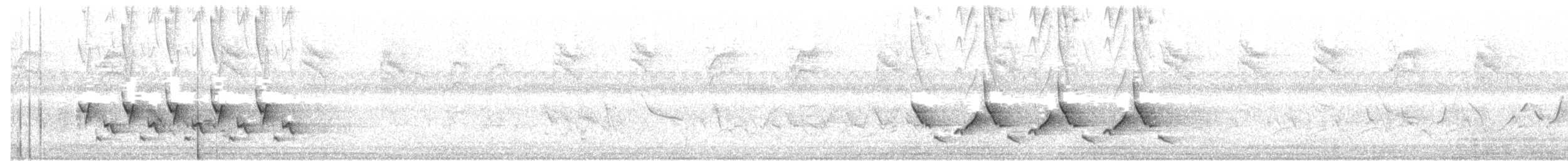 Каролинский крапивник - ML243653151