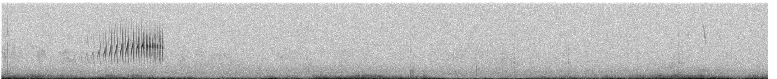Damalı Sepetören [sclateri grubu] - ML243659591