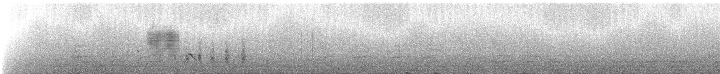 Troglodyte de Latham (aequatorialis) - ML243666