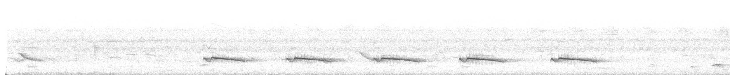 Gray-bellied Cuckoo - ML243666051