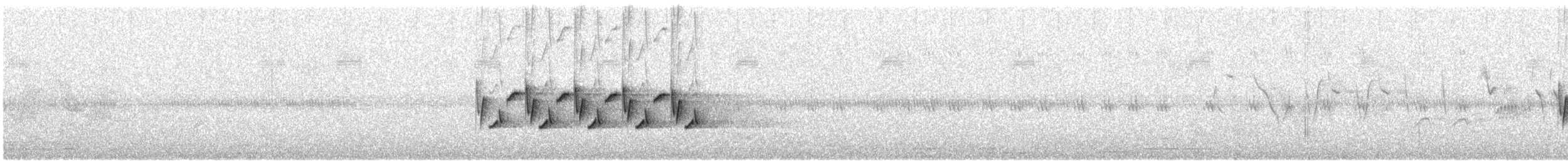Поплітник каролінський - ML243681481