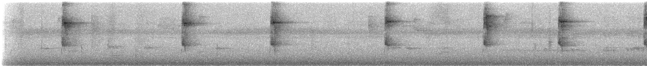 Ticotico de Anteojos (temporalis) - ML243697
