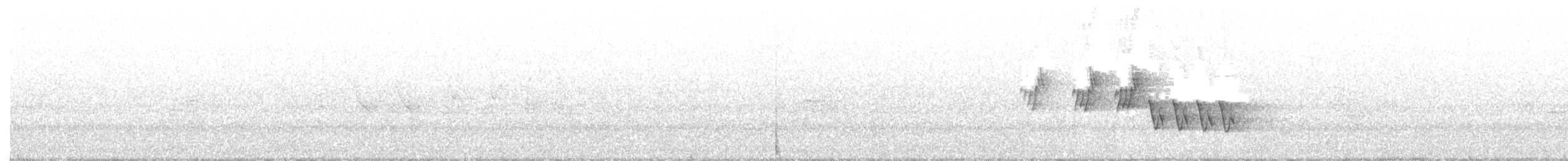 Mourning Warbler - ML243698631