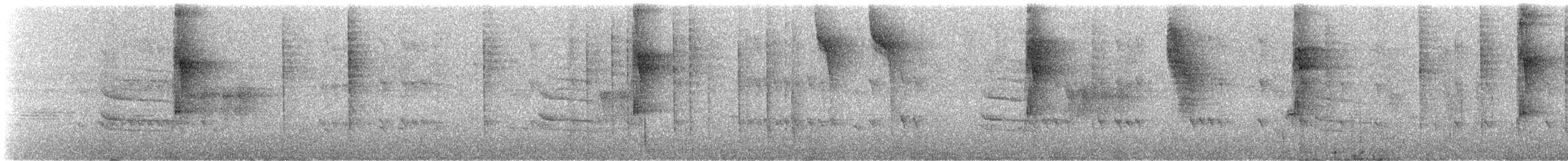 okerbrilleløvgransker (temporalis) - ML243699