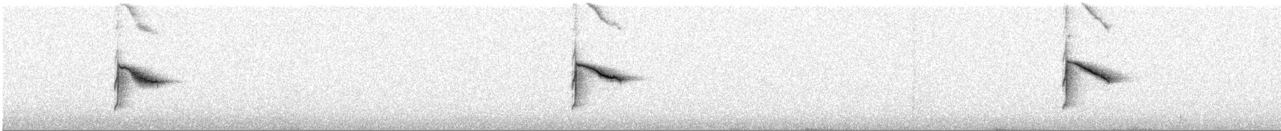 Дрізд-короткодзьоб канадський - ML243717601