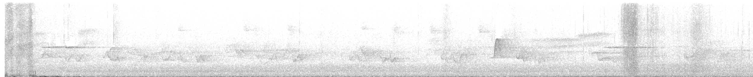 Acadian Flycatcher - ML243730181