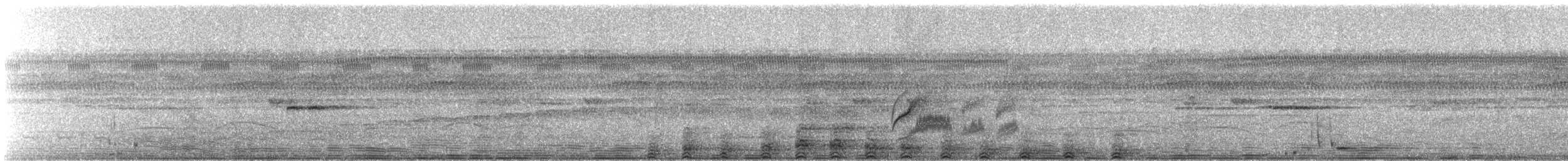 Квак широкодзьобий (підвид cochlearius/panamensis) - ML243735