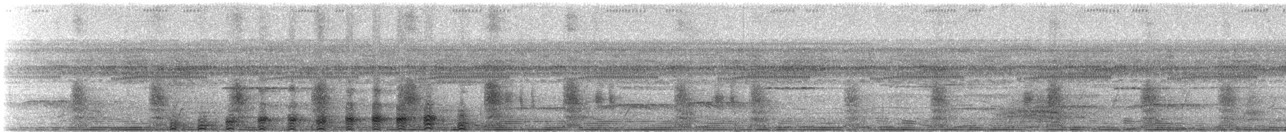 Yassı Gagalı Balıkçıl (cochlearius/panamensis) - ML243736