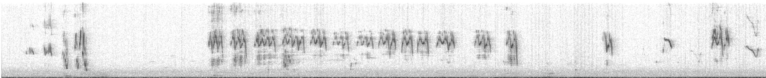 Hirondelle bicolore - ML243736121