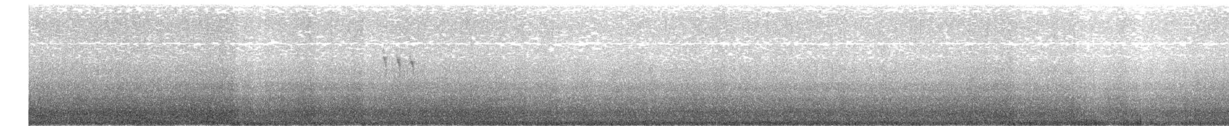 Gray Wagtail - ML243738551