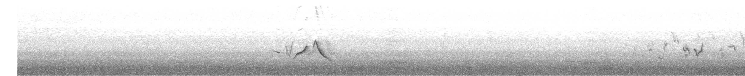 Common Rosefinch - ML243744391