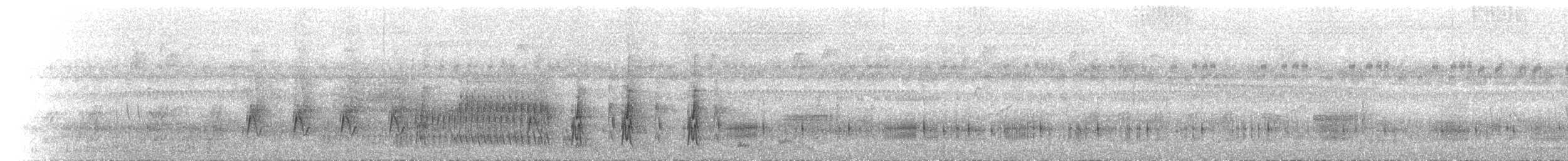 Grauer's Swamp Warbler - ML243747691
