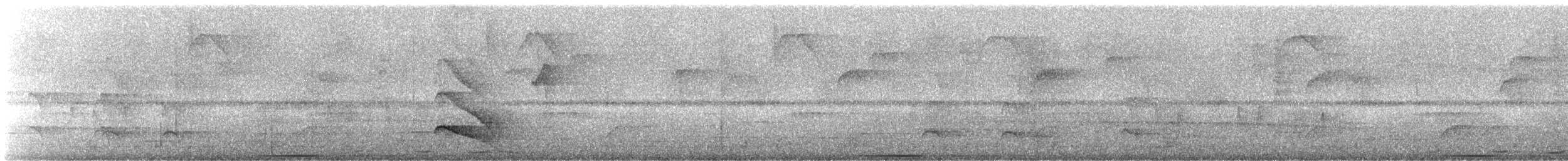 Yeşil Sırtlı Tırmaşık - ML243757