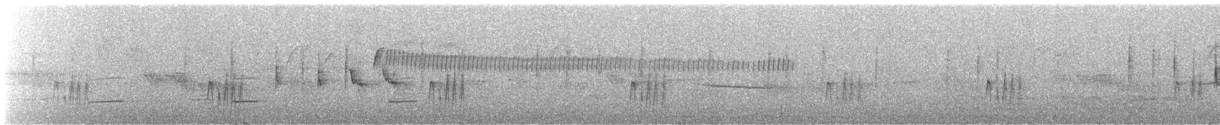 Taçlı Bülbül Tiranı (frontalis/albidiadema) - ML243765