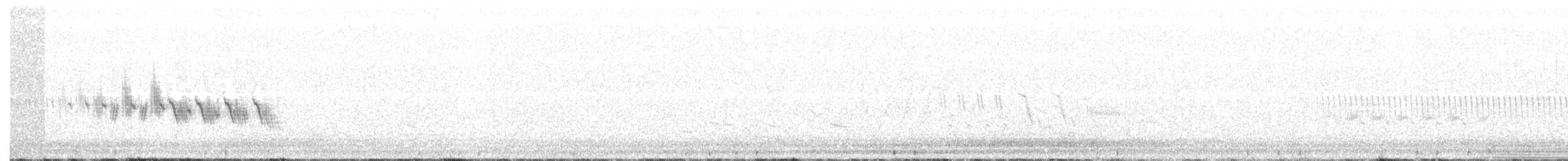 Black-throated Gray Warbler - ML243779831