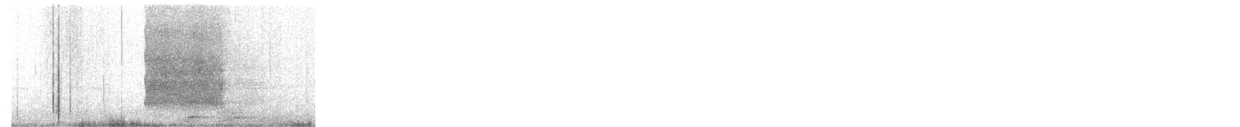 sova americká - ML243788371