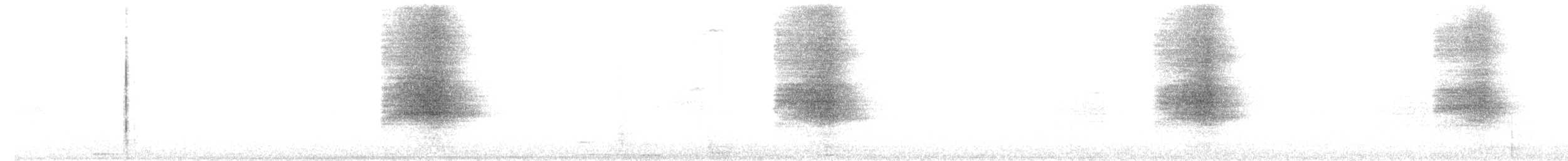 sova americká - ML243788381