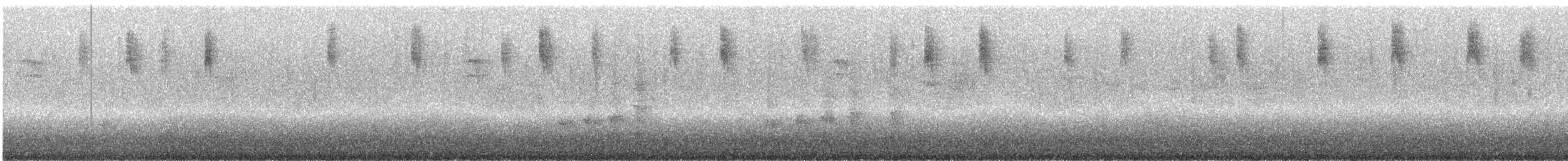 Kadife Karınlı Dağ Kolibrisi - ML243805