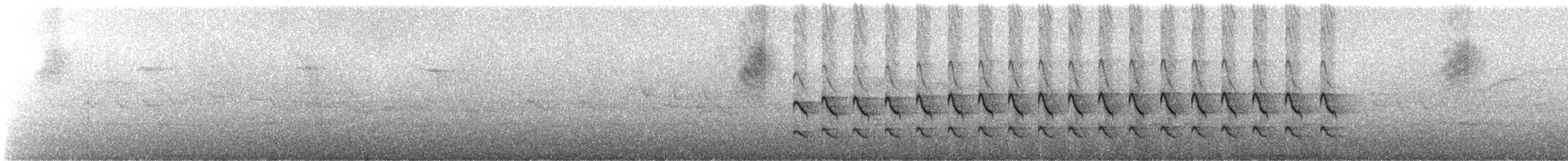 Sharp-shinned Hawk (Plain-breasted) - ML243806