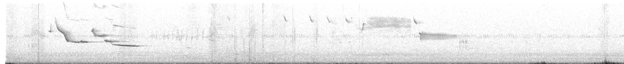 englerketrupial - ML243812901