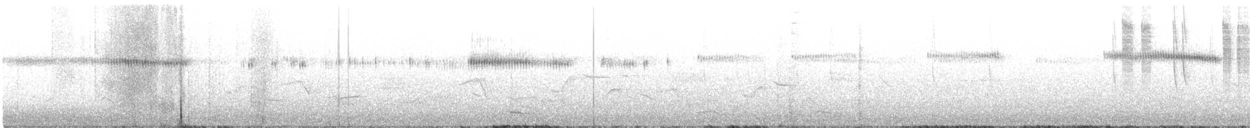 Широкохвостый колибри - ML243829511